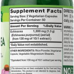 nature_s_truth_echinacea_1300mg_-_100_capsules.2.png